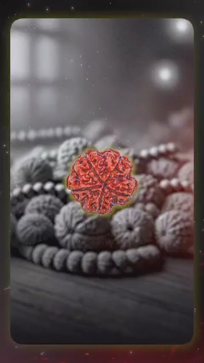 5 Mukhi Rudraksha Surya Pendant With Chain.